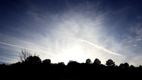 Low angle view of silhouette trees against sky