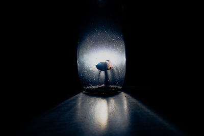 Close-up of illuminated lamp against black background