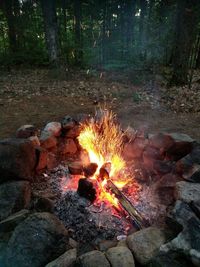 Bonfire in forest