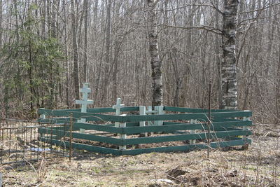 Empty park bench by trees in forest