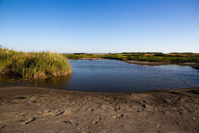 Scenic view of beach against clear blue sky