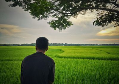 Rear view of man standing in field against sky