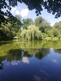 Scenic view of lake in forest against sky