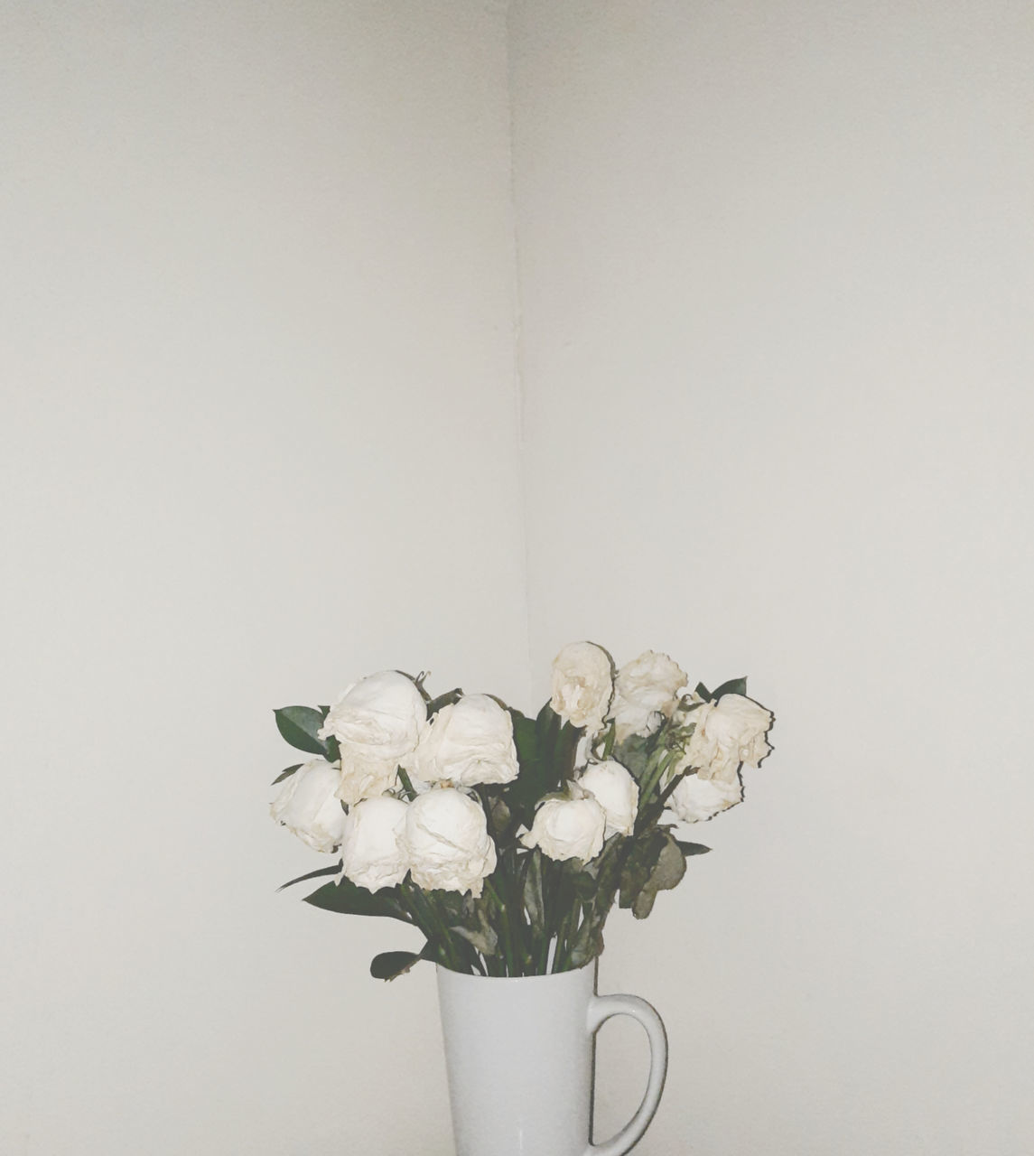 CLOSE-UP OF WHITE FLOWER VASE AGAINST WALL