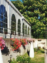 Flower trees against built structure