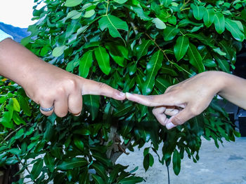 Midsection of woman holding leaves
