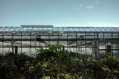 Plants in greenhouse against clear sky