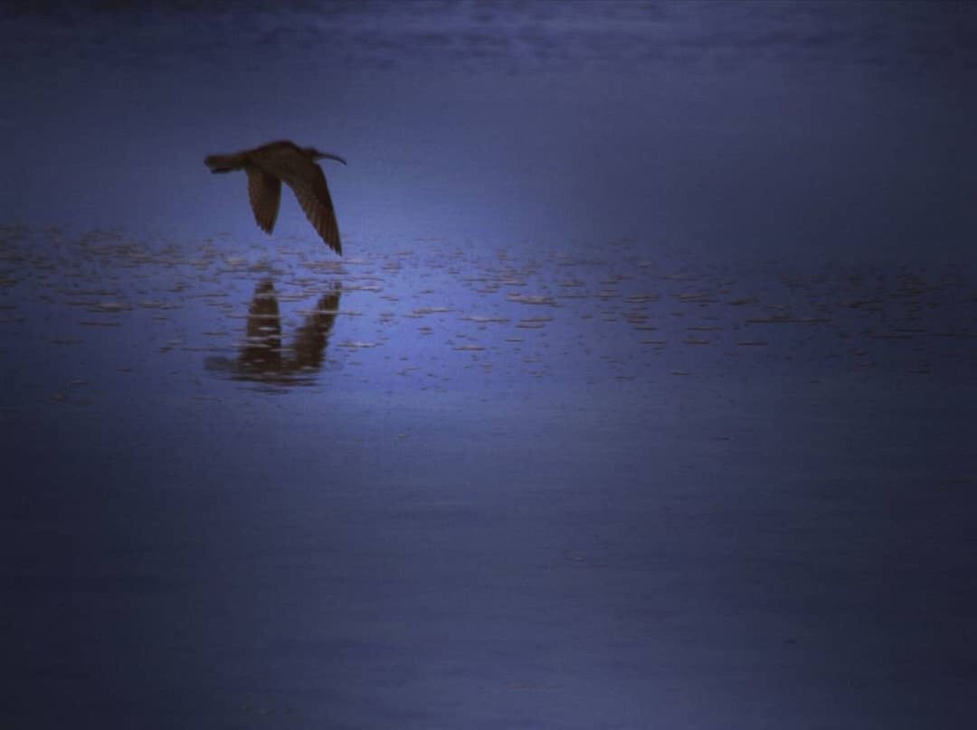 REFLECTION OF SILHOUETTE MAN IN WATER