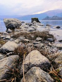 Close-up of rocks on beach against sky