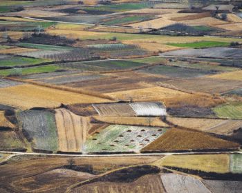 Full frame shot of farm