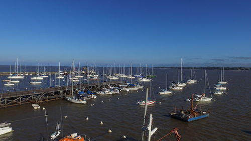 High angle view of sailboats moored at harbor