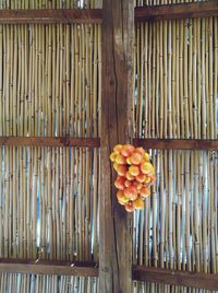 Close-up of orange fruits hanging on wooden fence