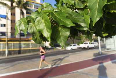 People walking on the shore of ondina beach in salvador city, bahia, brazil.