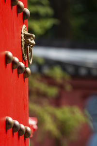 Close-up of chain on railing