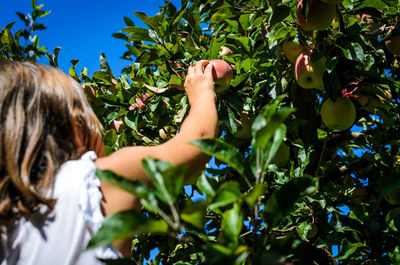 Woman standing by tree against plants