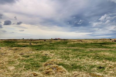 Scenic view of field against sky