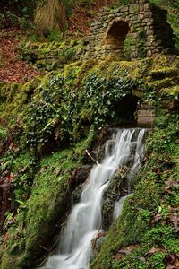 View of waterfall in forest