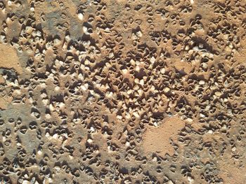 Full frame shot of sand