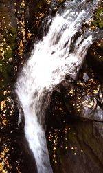 Scenic view of waterfall