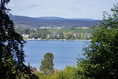 Scenic view of lake and trees against sky