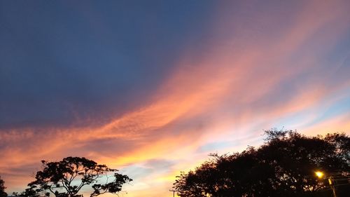 Low angle view of silhouette trees against sky at sunset