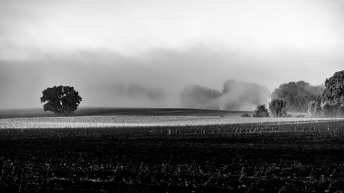 Scenic view of field against sky during foggy weather