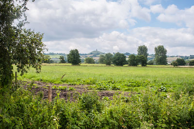 Scenic view of field against sky