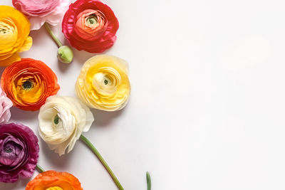 High angle view of food on white background