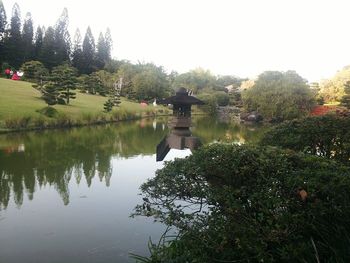 Reflection of trees in lake