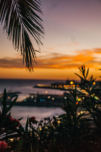 Scenic view of sea against sky at sunset