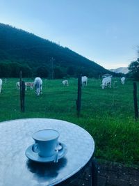 Coffee cup on table by field against sky