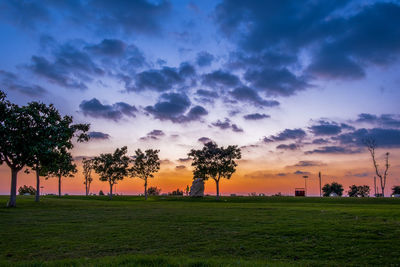 Trees on field against sky during sunset