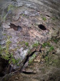 Rock formations on rock