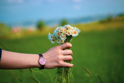 Close-up of human hand holding flowers on field