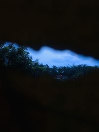 Scenic view of trees against sky at night