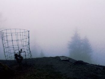 Woman standing on landscape