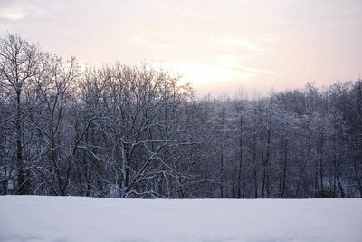 Snow covered landscape against sky