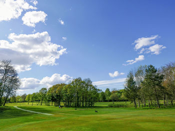 Scenic view of grassy field against sky