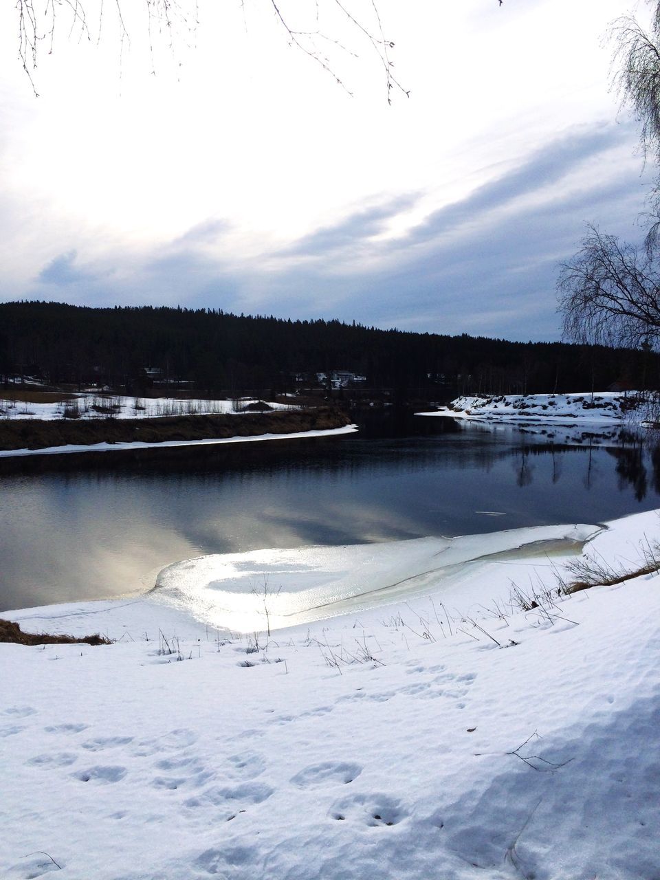 snow, winter, cold temperature, tranquil scene, tranquility, water, scenics, sky, beauty in nature, nature, weather, bird, lake, season, frozen, landscape, tree, bare tree, cloud - sky