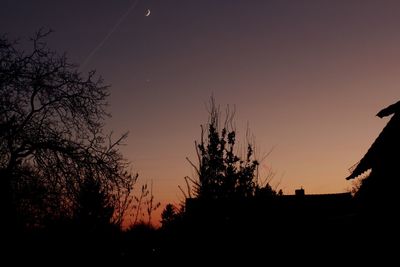 Silhouette trees against sky at night