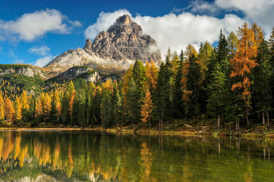 Scenic view of lake by trees against sky