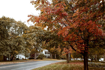 Road amidst trees in park during autumn