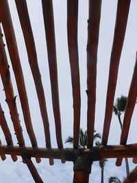 Low angle view of cactus against sky