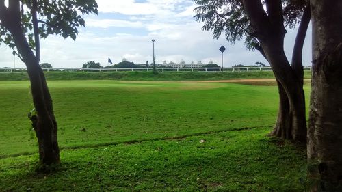 Scenic view of green landscape against sky