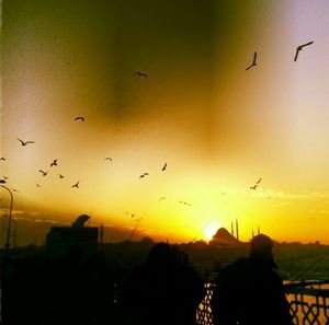 Bird flying in sky at sunset