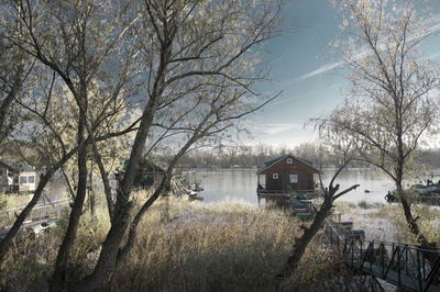 Bare trees and houses on field against sky