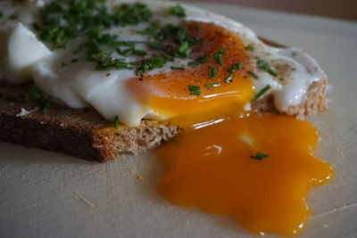 Close-up of food
