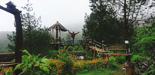 Man amidst plants and trees in forest against sky