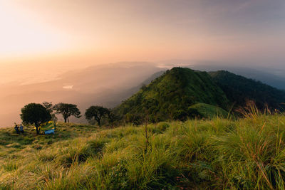 Scenic view of field against sky during sunset