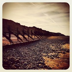 Scenic view of landscape